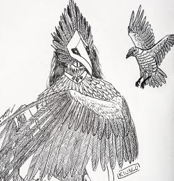 Corvid sketch