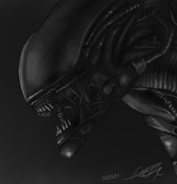 Xenomorph