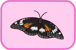 Brilliantly Bright Bugs